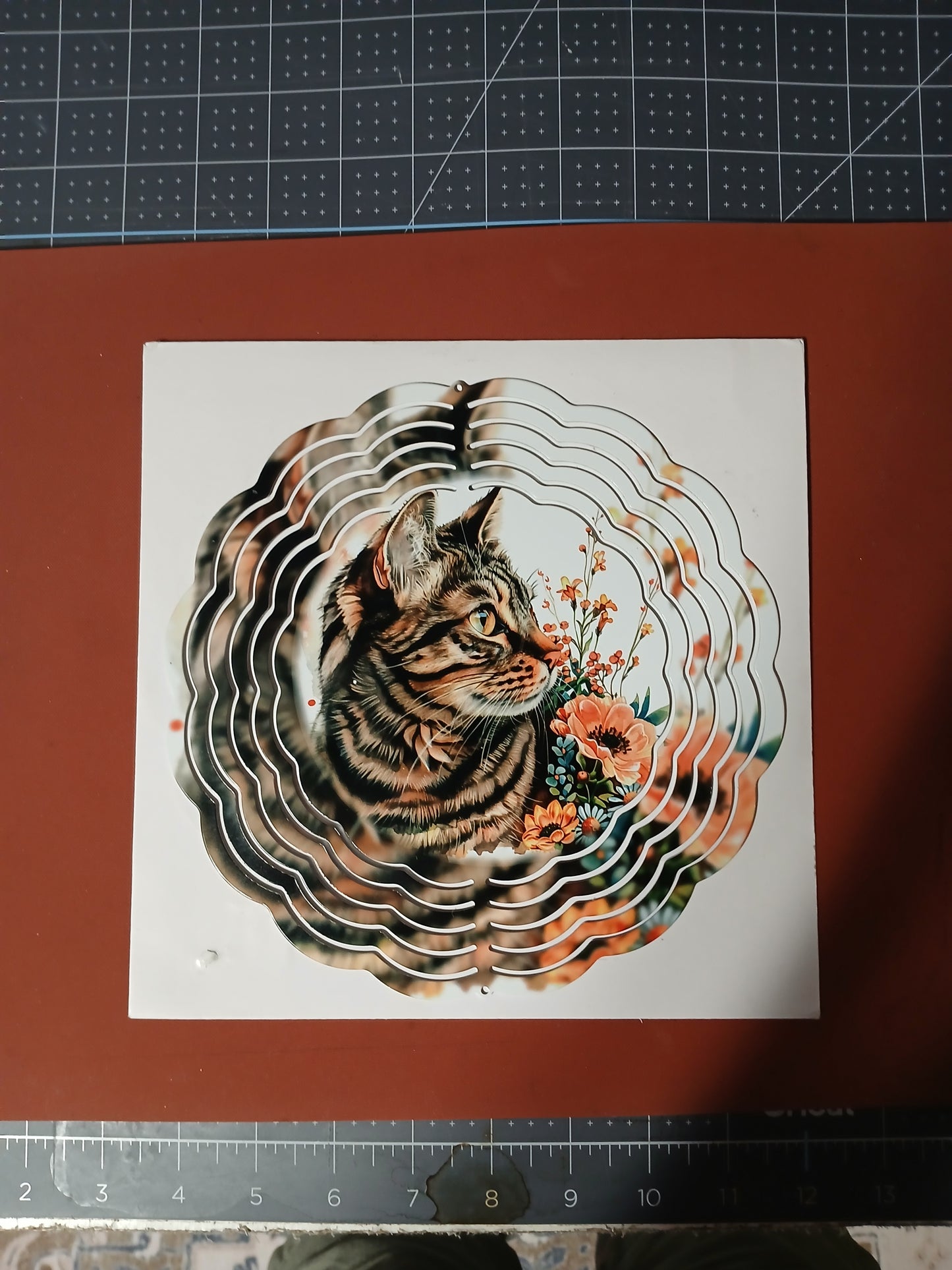 Tabby cat in field spinner