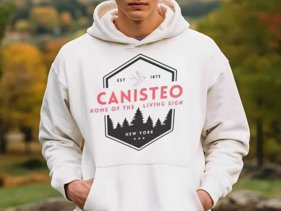 Canisteo 1789 Flag Hoodie